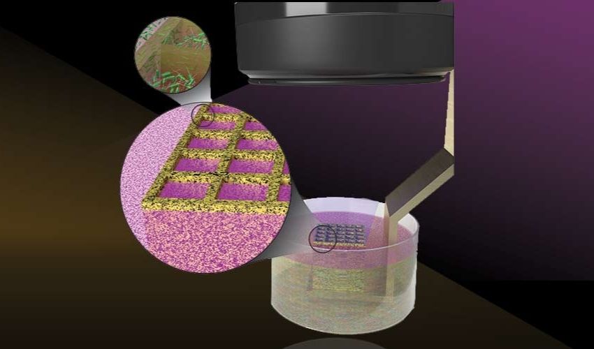 科學(xué)家開(kāi)發(fā)出 3D 打印活微生物的新方法